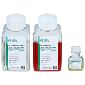 ProGro? MSC KIT間充質干細胞無血清培養(yǎng)試劑盒