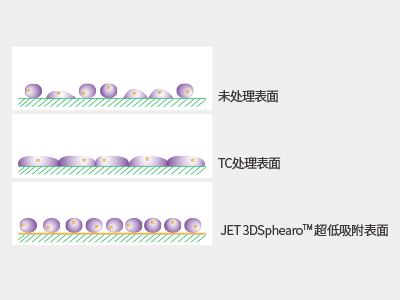 超低吸附表面具有共價結(jié)合的水凝膠層，具有極強的抗蛋白吸附性和抗細胞貼壁性，可有效抑制細胞附著