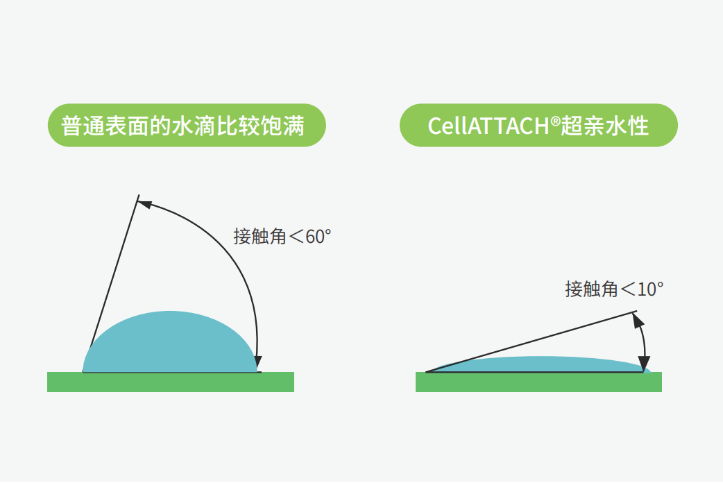 獨特的超親水表面處理技術(shù)，能為細胞提供更好的吸附性，促進細胞快速貼壁生長，提高產(chǎn)量